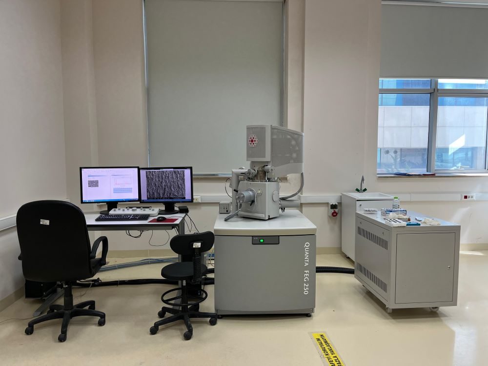 Taramalı elektron mikroskobu (SEM) ve ölçüm istasyonu