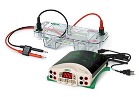 Elektroforez Hücresi